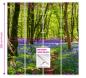Preview: Blumenwald, Flächenvorhang 4er Set